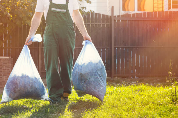 Best Yard Waste Removal  in Jonesville, MI